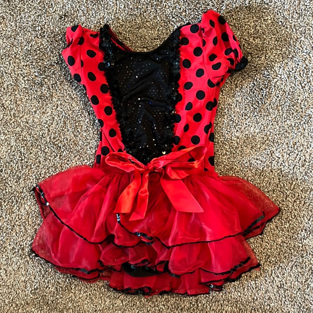 Lady Bug Costume (Dance, Halloween)